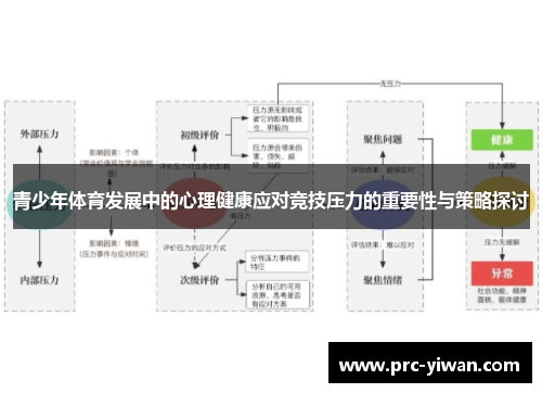 青少年体育发展中的心理健康应对竞技压力的重要性与策略探讨